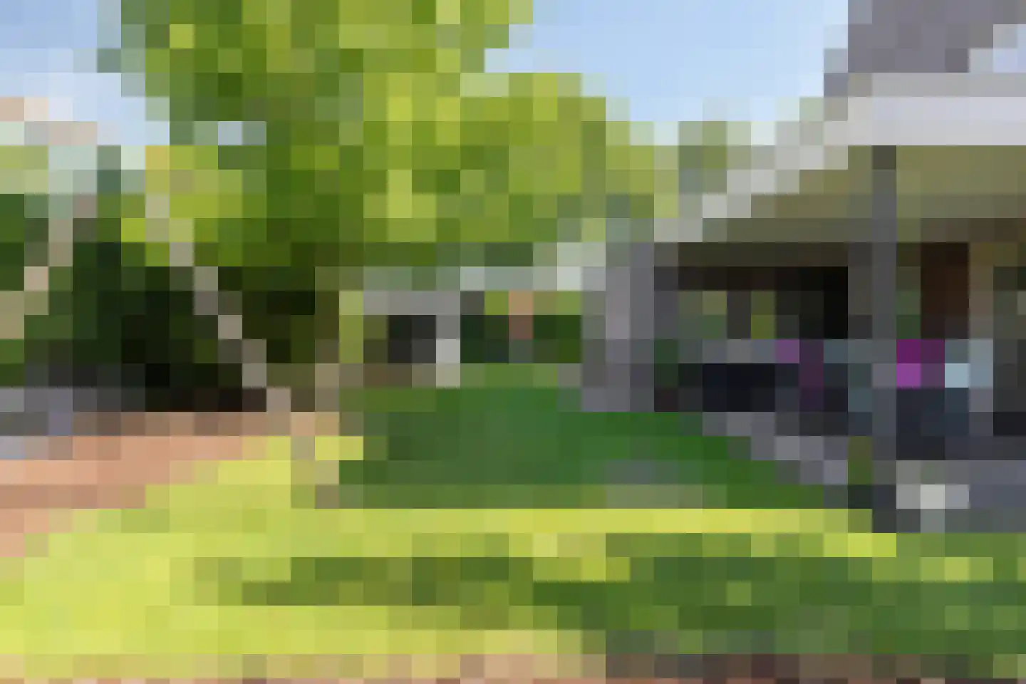 Pelgang 9 Oploo thumbnail 4