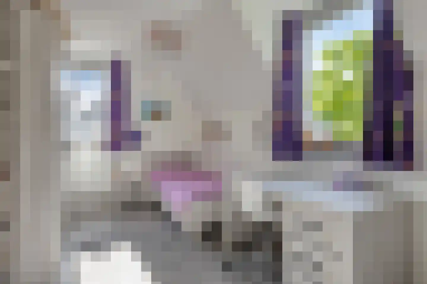Pelgang 9 Oploo thumbnail 42