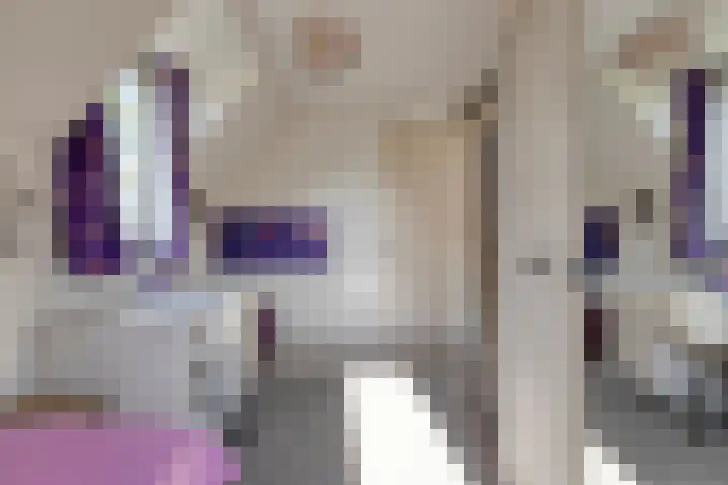 Pelgang 9 Oploo thumbnail 43