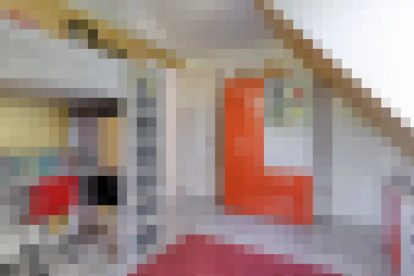 Pelgang 9 Oploo thumbnail 45
