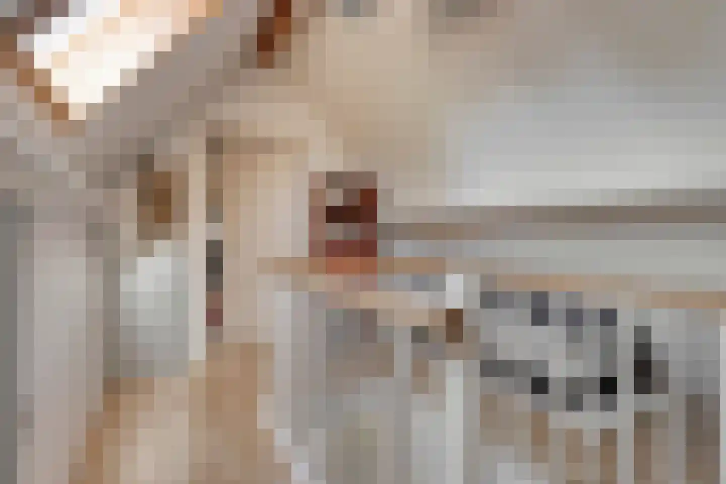 Pelgang 9 Oploo thumbnail 47