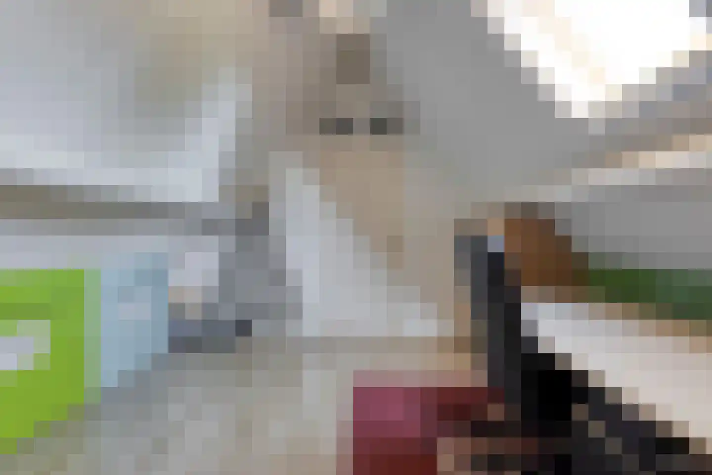 Pelgang 9 Oploo thumbnail 49