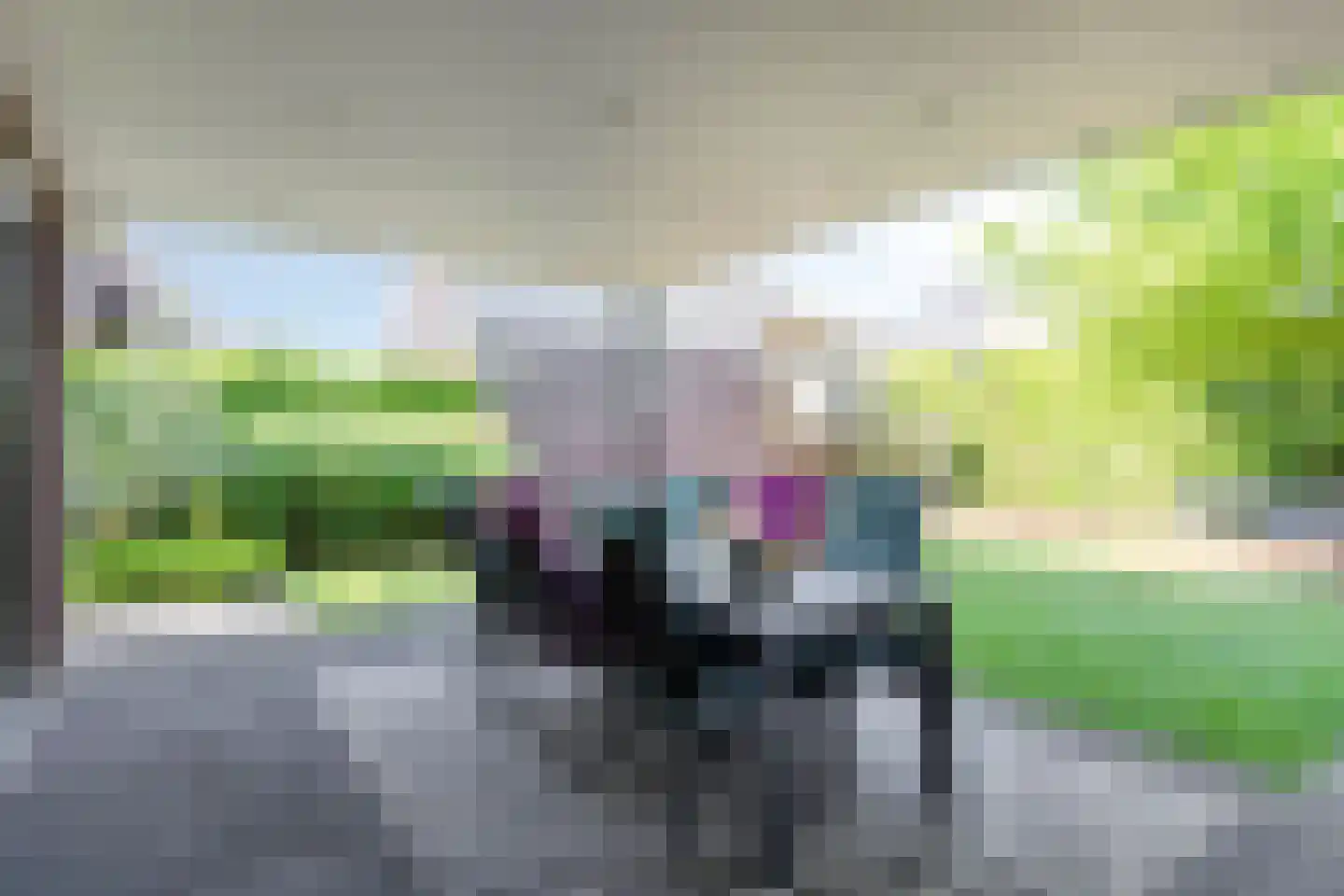 Pelgang 9 Oploo thumbnail 50