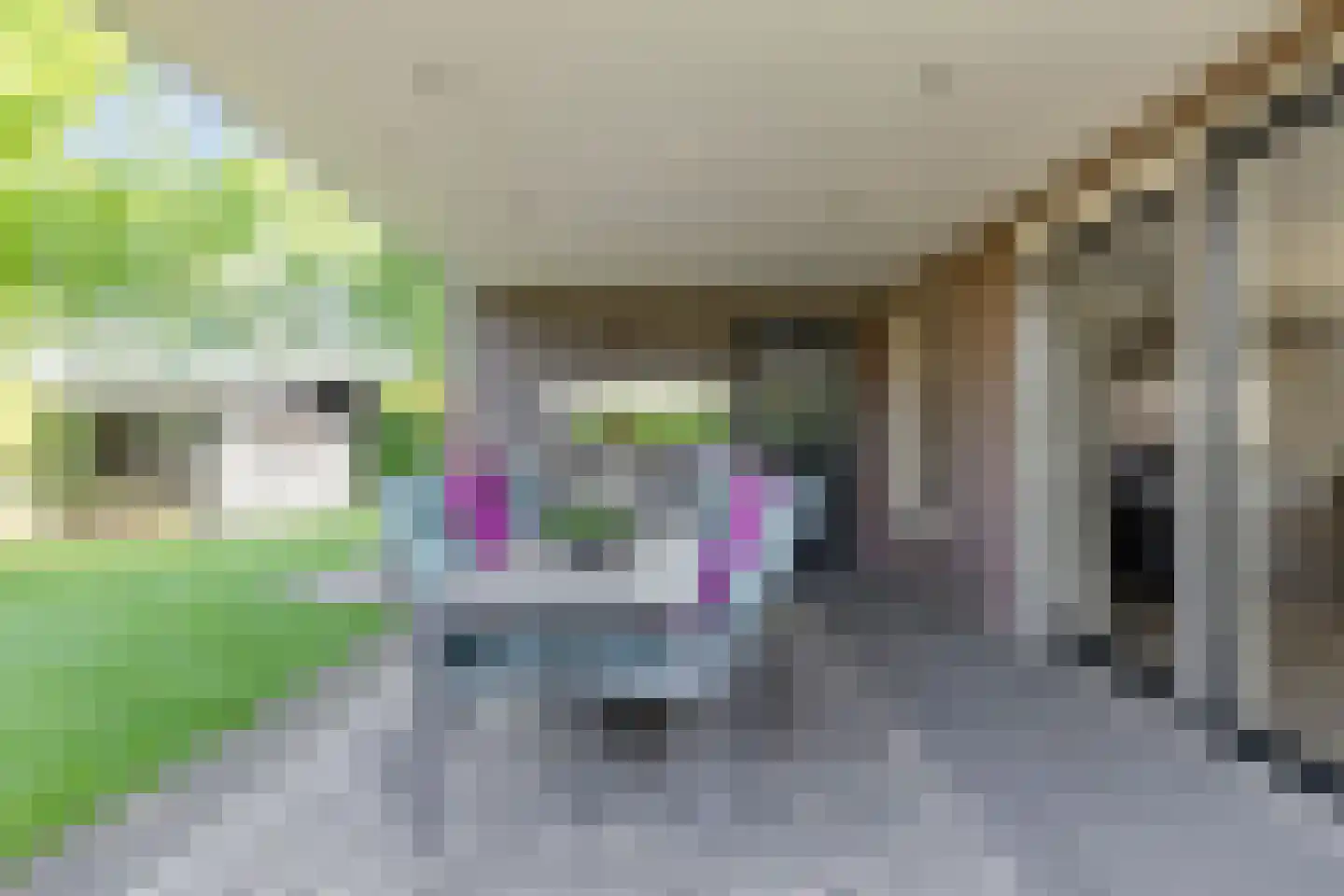 Pelgang 9 Oploo thumbnail 51