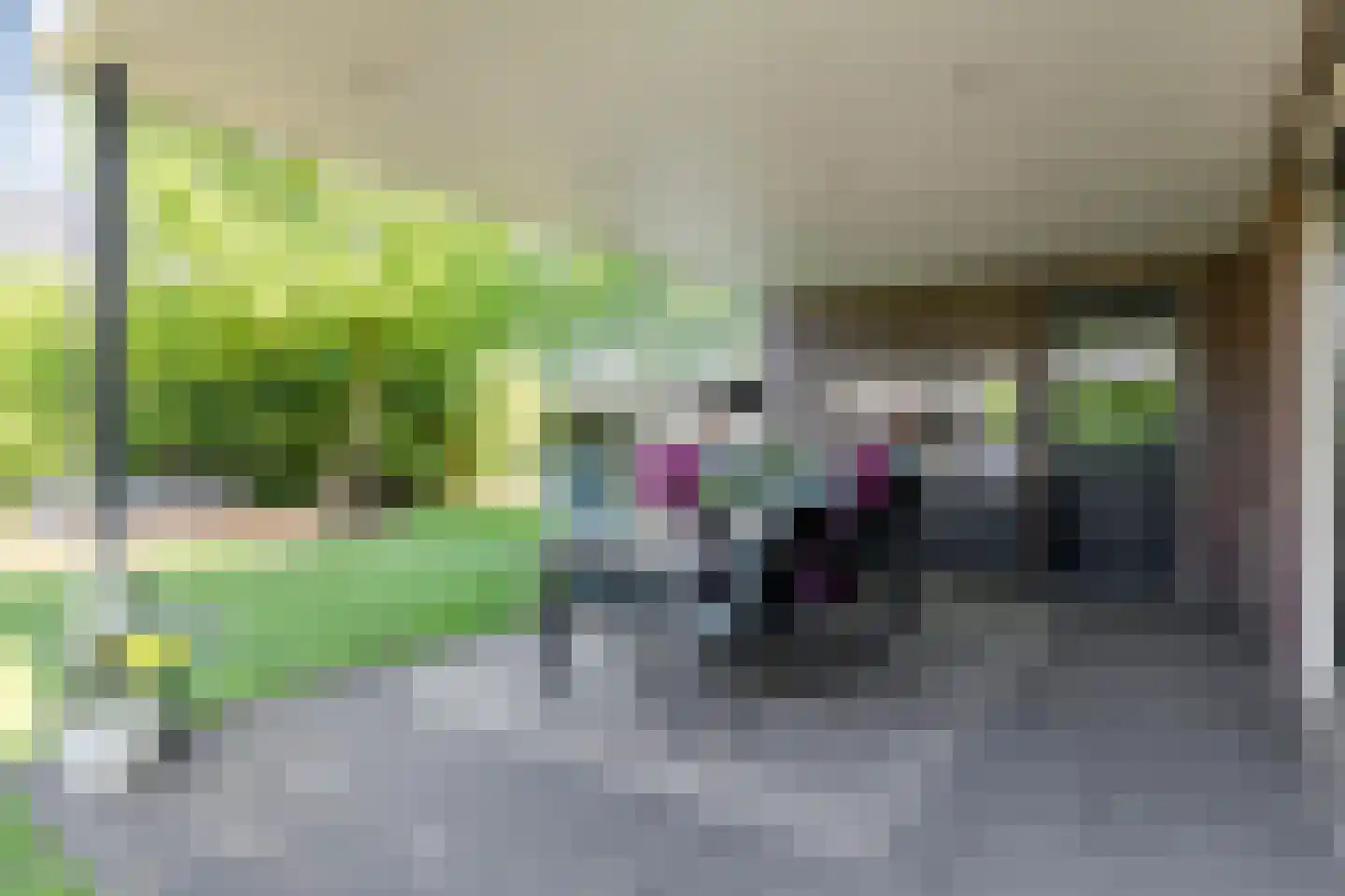 Pelgang 9 Oploo thumbnail 52