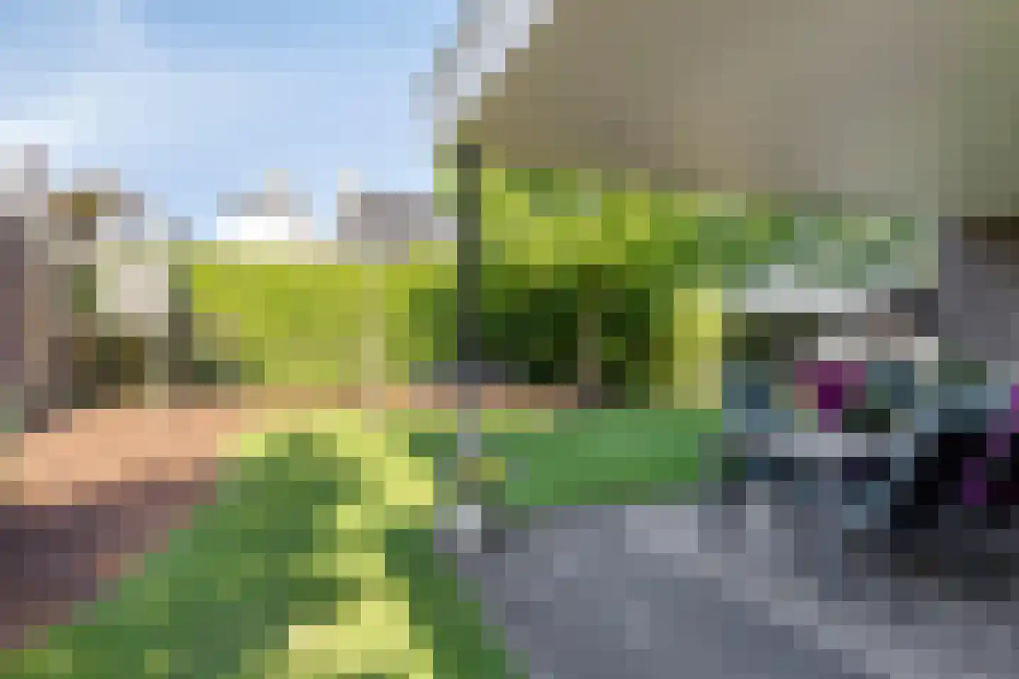 Pelgang 9 Oploo thumbnail 53