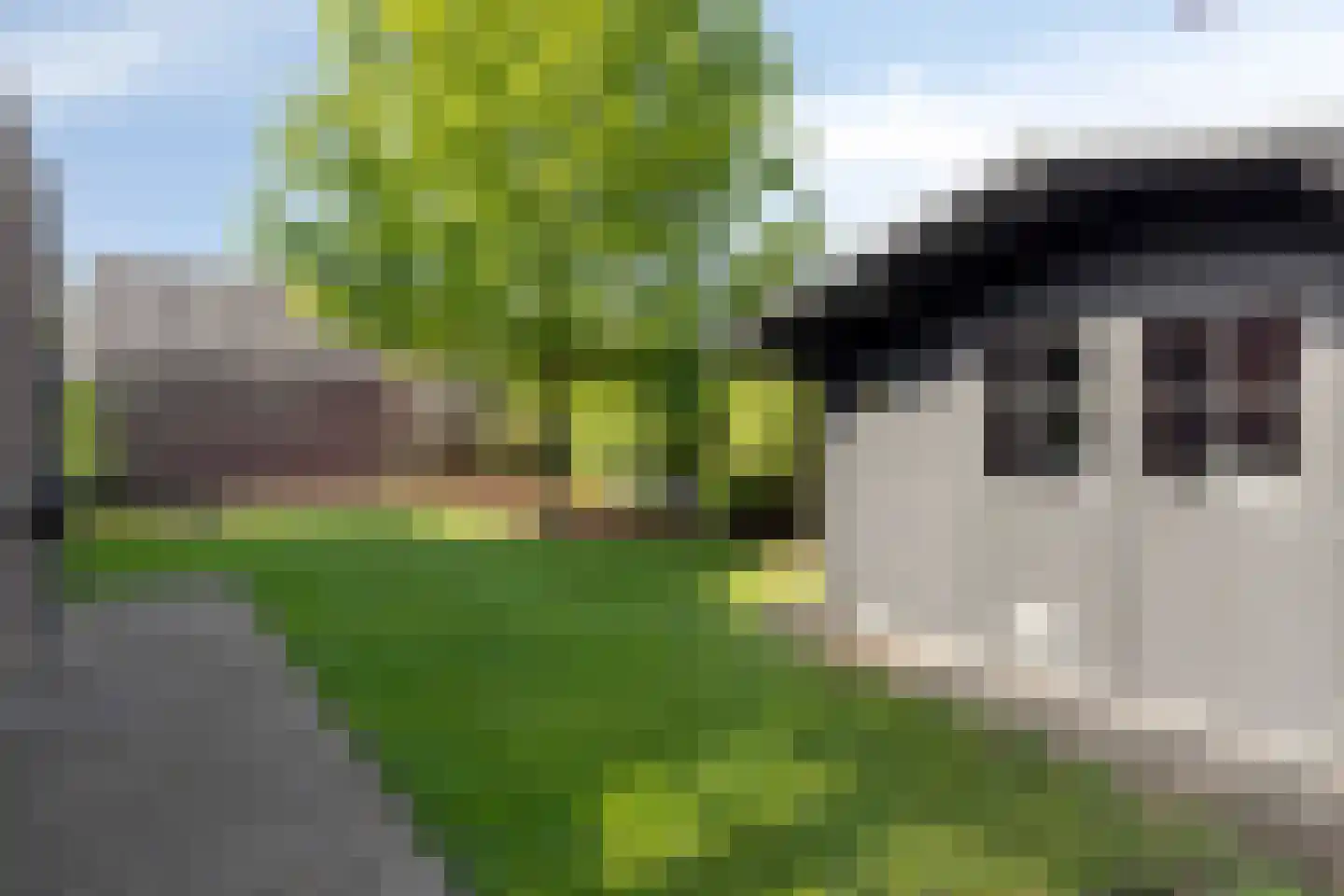 Pelgang 9 Oploo thumbnail 55