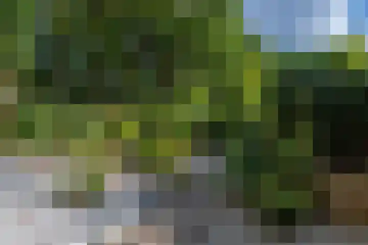 Pelgrimsborch 15 Houten thumbnail 15