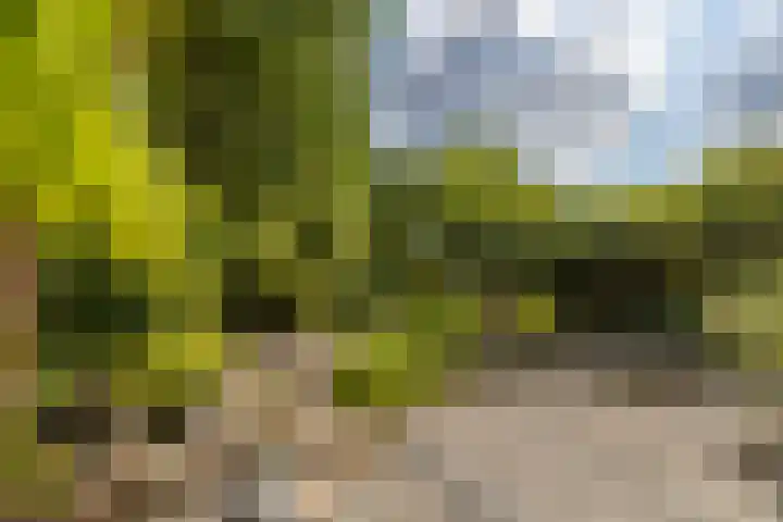 Pelgrimsborch 15 Houten thumbnail 17