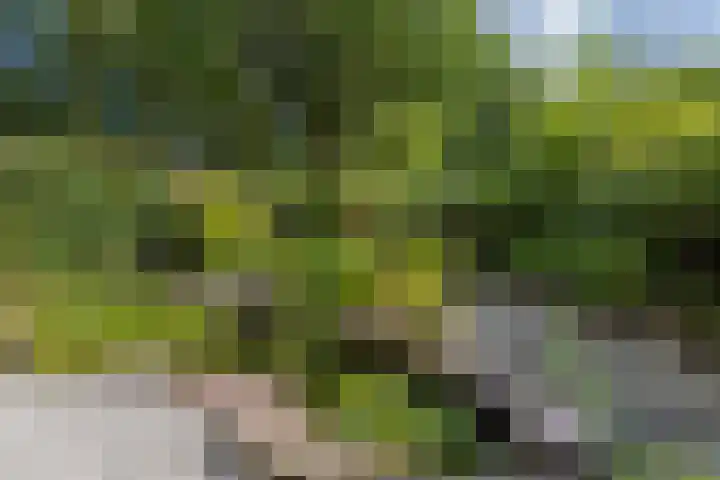 Pelgrimsborch 15 Houten thumbnail 18