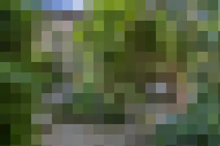 Pelgrimsborch 15 Houten thumbnail 19