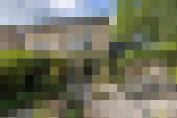 Pelgrimsborch 15 Houten thumbnail 20
