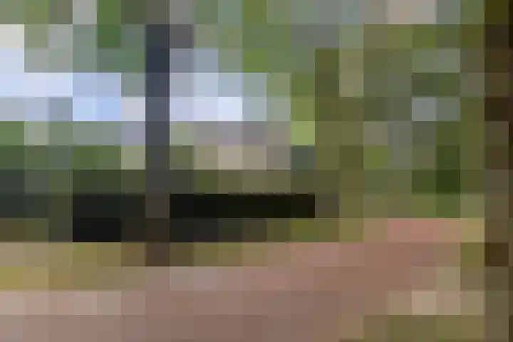 Pelgrimsborch 15 Houten thumbnail 41