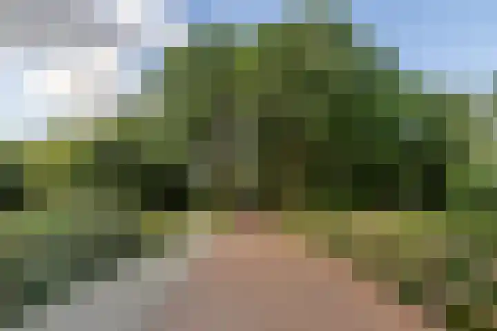 Pelgrimsborch 15 Houten thumbnail 42