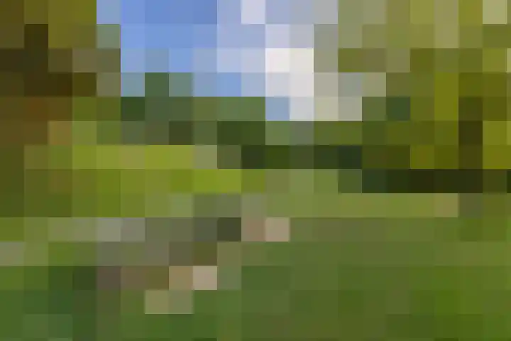 Pelgrimsborch 15 Houten thumbnail 43