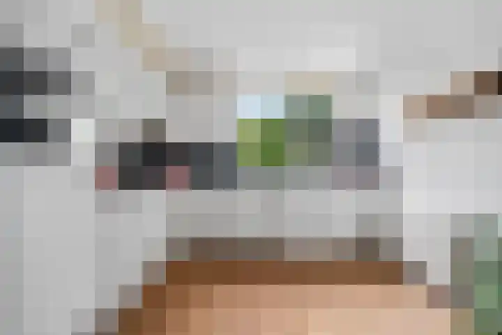 Pelgrimsborch 15 Houten thumbnail 9