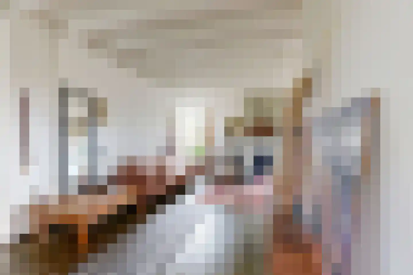 Pelgrimsdijk 2 a Zevenbergschen Hoek thumbnail 12