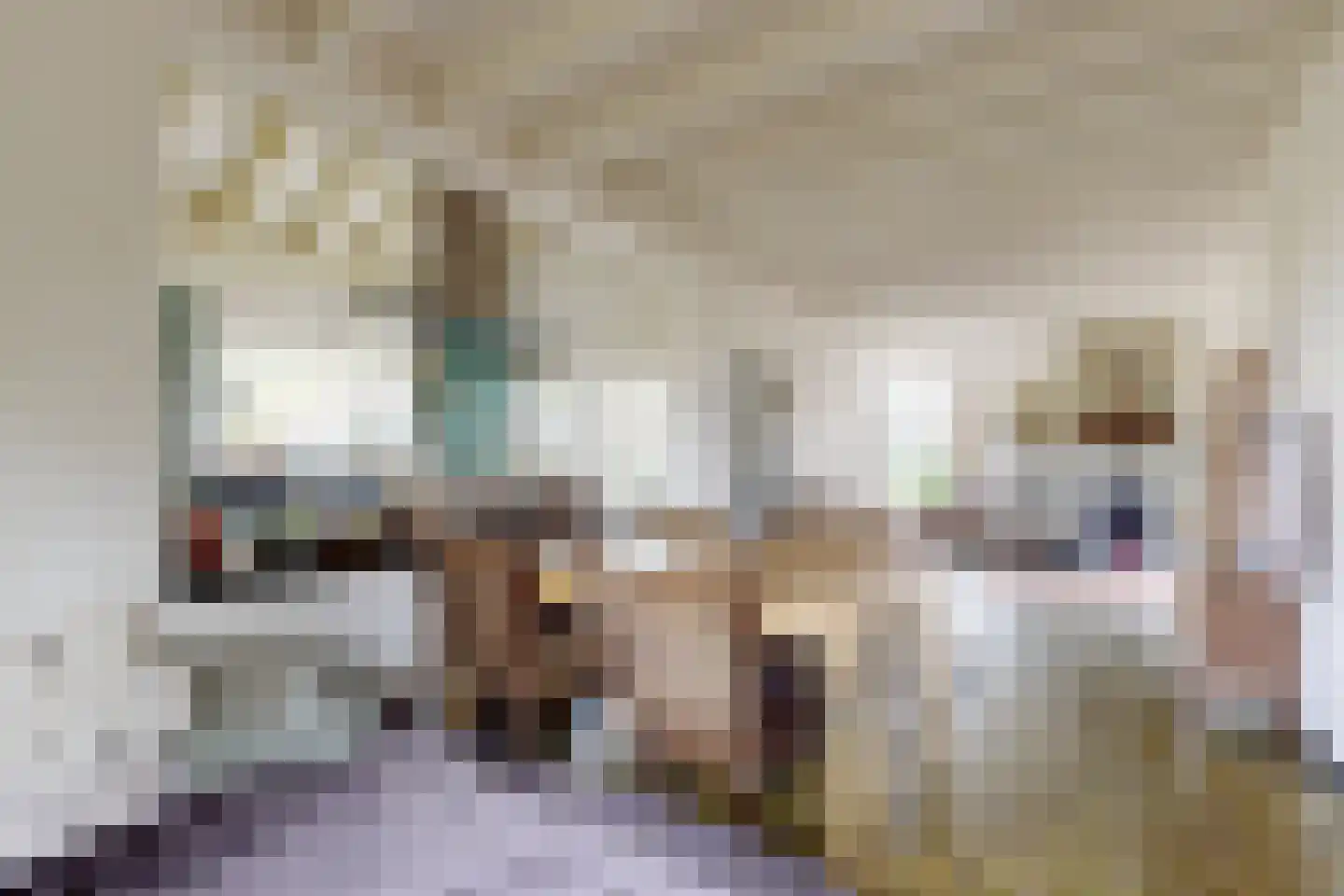 Pelgrimsdijk 2 a Zevenbergschen Hoek thumbnail 14