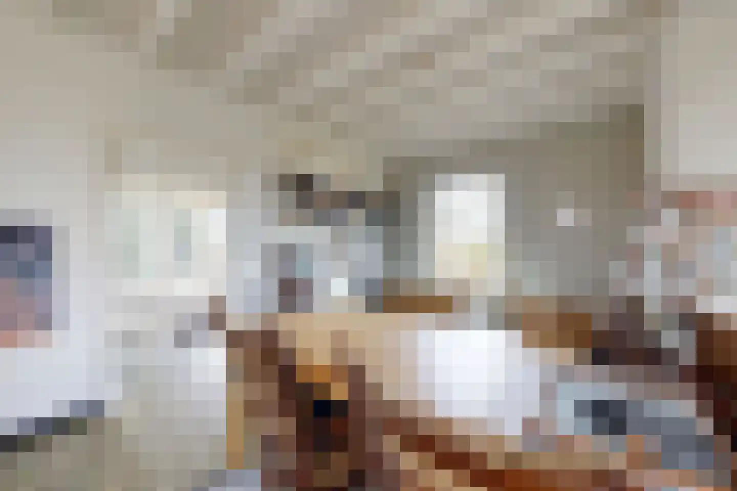 Pelgrimsdijk 2 a Zevenbergschen Hoek thumbnail 15