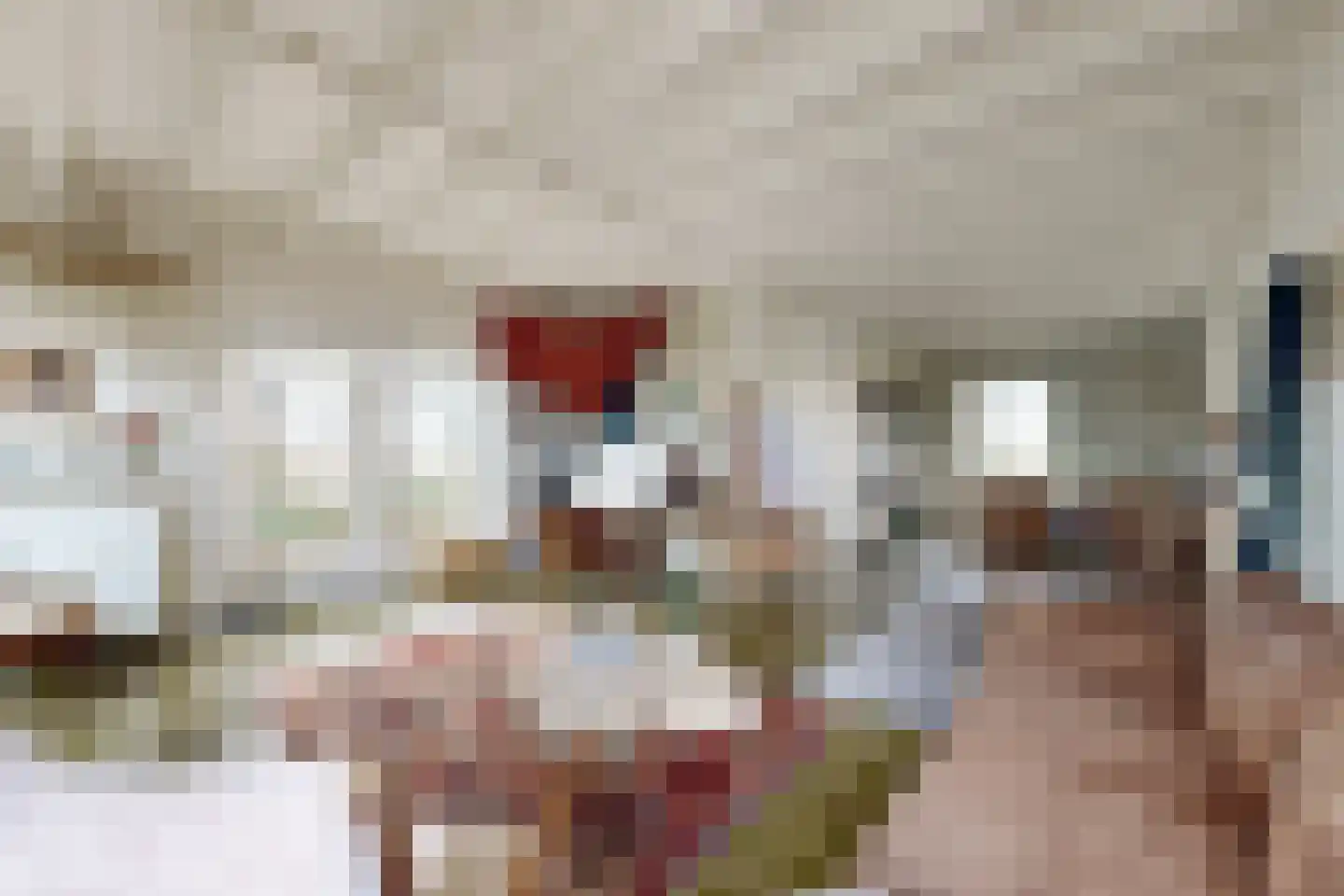 Pelgrimsdijk 2 a Zevenbergschen Hoek thumbnail 21