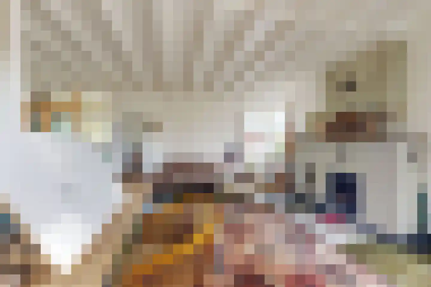 Pelgrimsdijk 2 a Zevenbergschen Hoek thumbnail 24