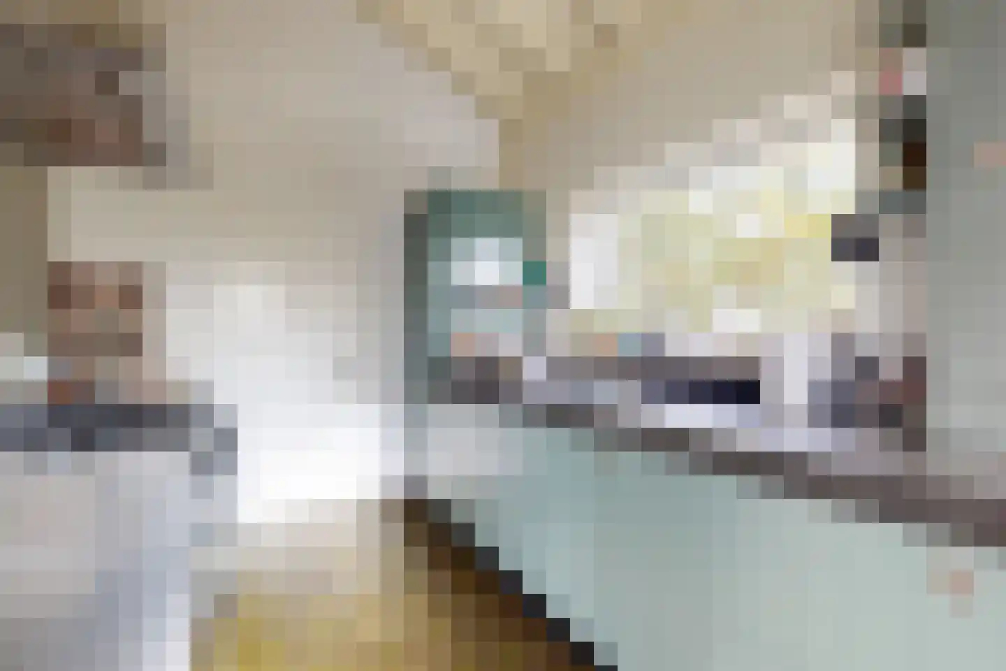 Pelgrimsdijk 2 a Zevenbergschen Hoek thumbnail 26
