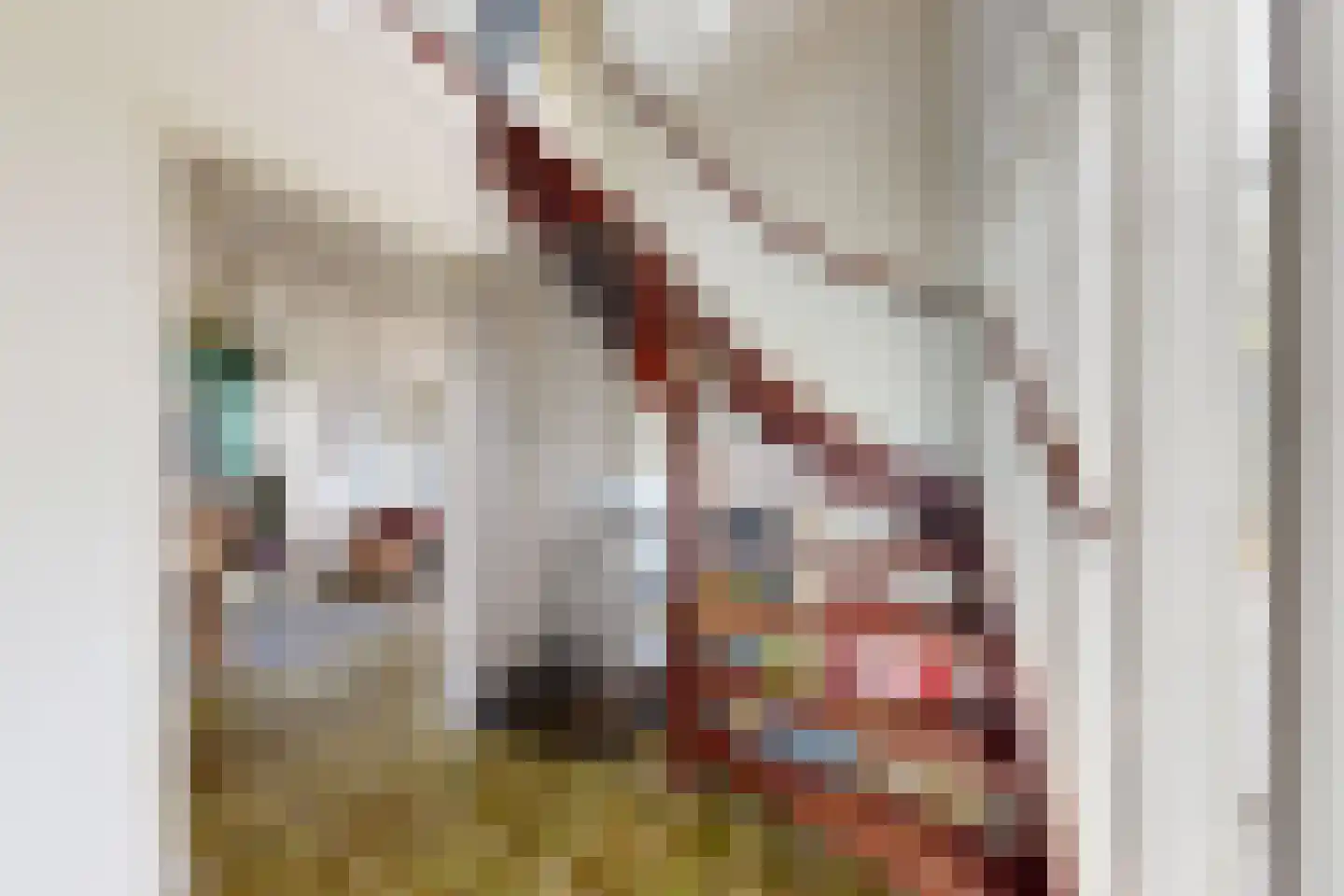 Pelgrimsdijk 2 a Zevenbergschen Hoek thumbnail 31