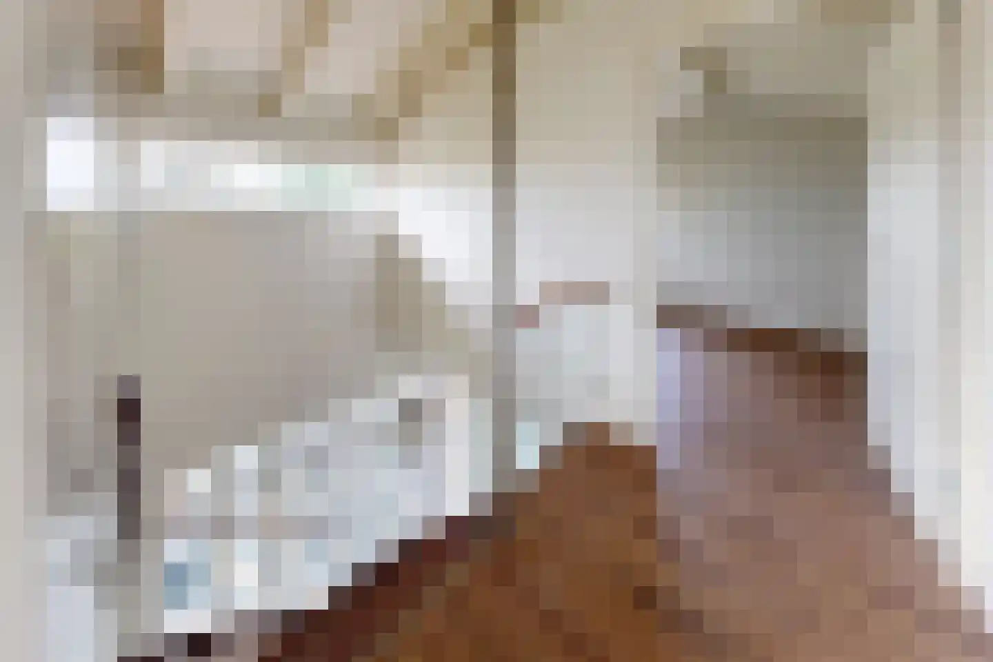 Pelgrimsdijk 2 a Zevenbergschen Hoek thumbnail 32