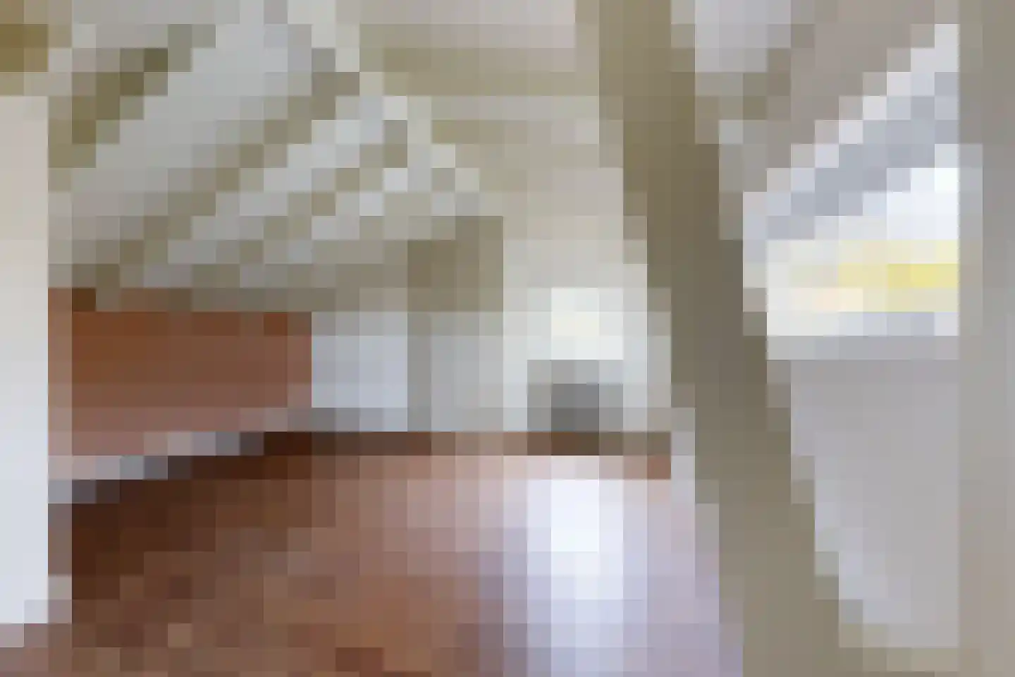 Pelgrimsdijk 2 a Zevenbergschen Hoek thumbnail 34