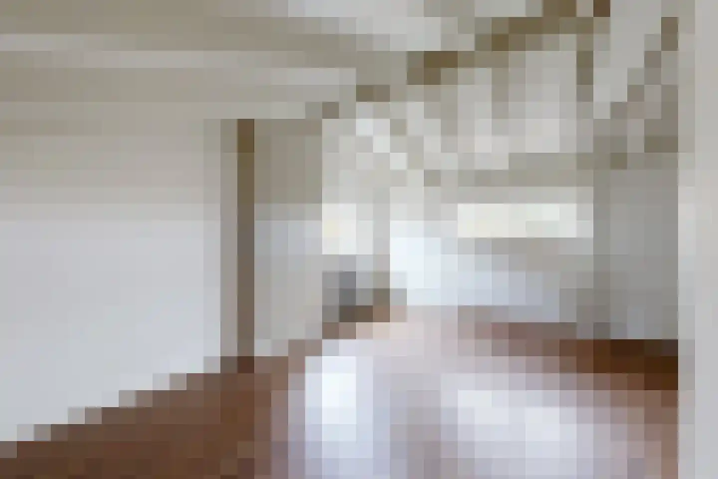 Pelgrimsdijk 2 a Zevenbergschen Hoek thumbnail 36