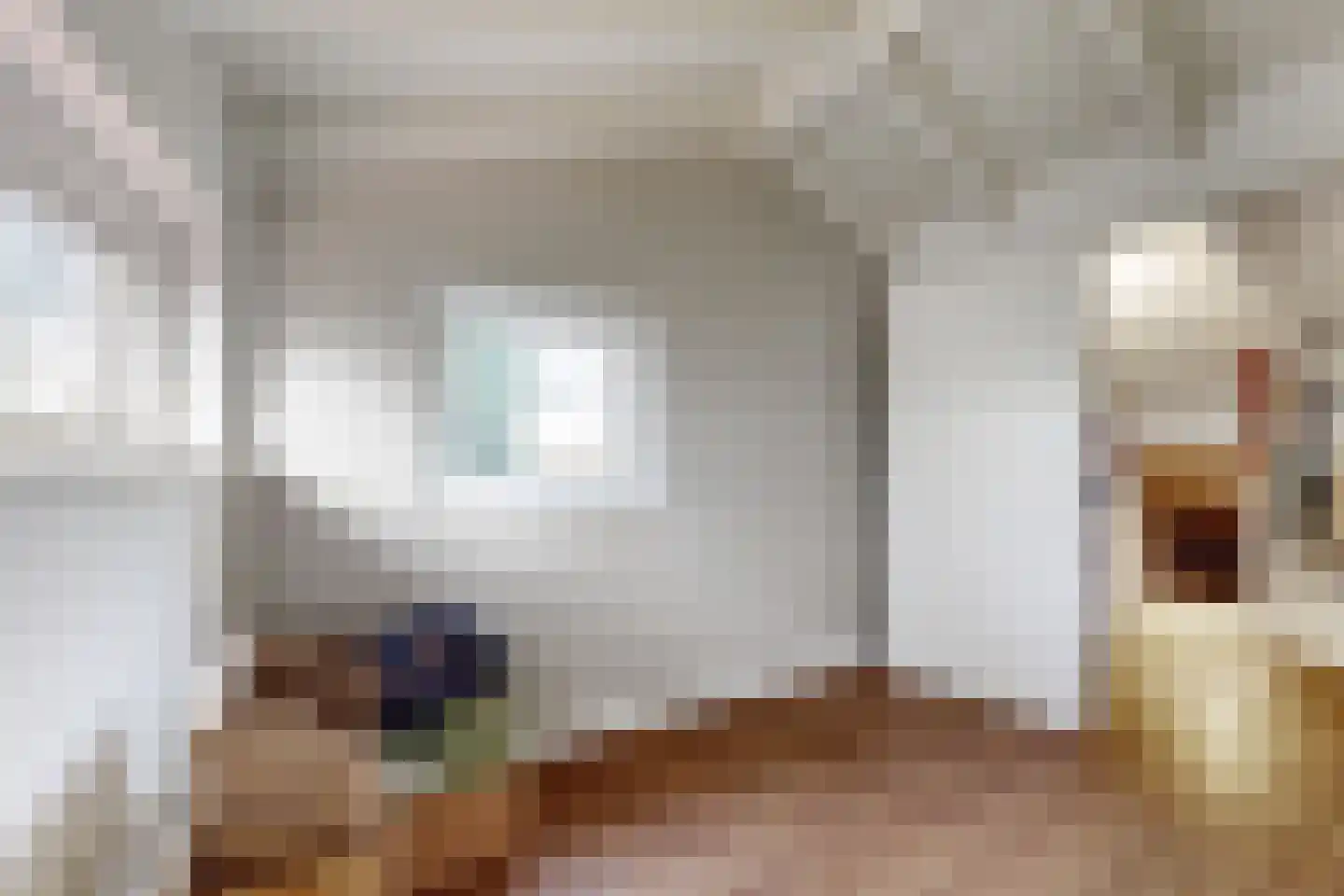 Pelgrimsdijk 2 a Zevenbergschen Hoek thumbnail 39