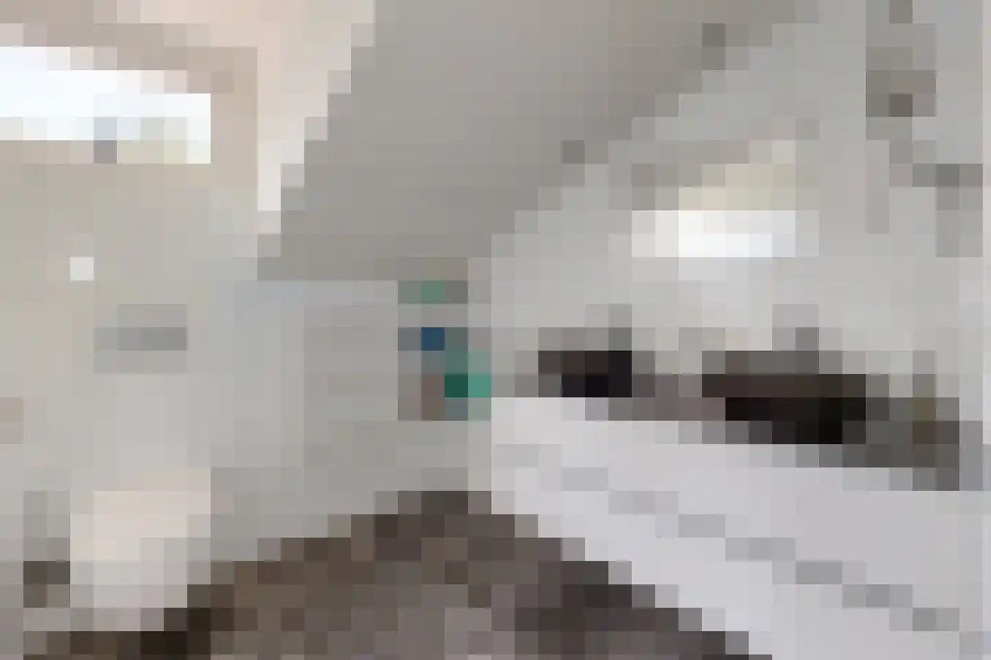 Pelgrimsdijk 2 a Zevenbergschen Hoek thumbnail 42