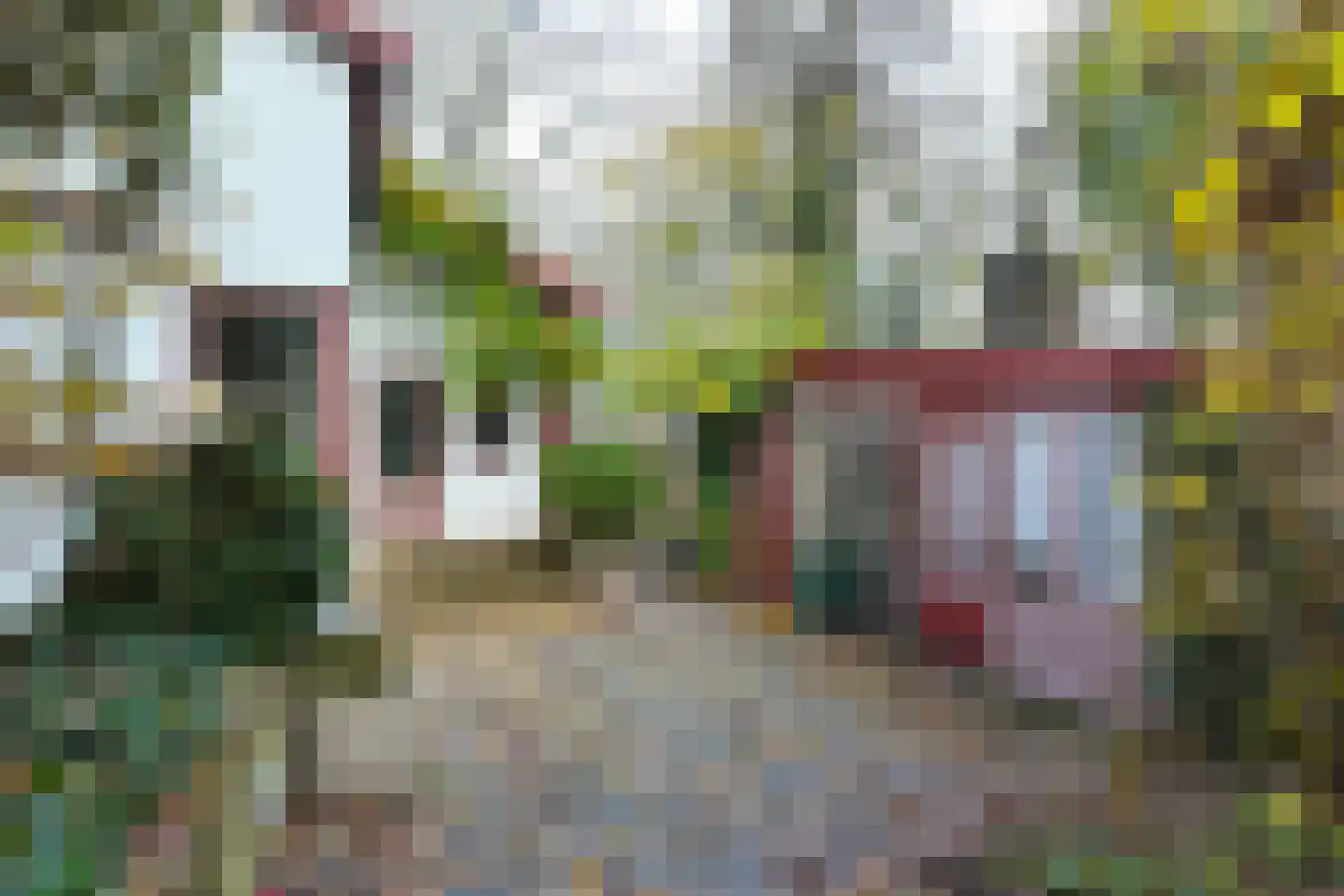 Pelgrimsdijk 2 a Zevenbergschen Hoek thumbnail 52