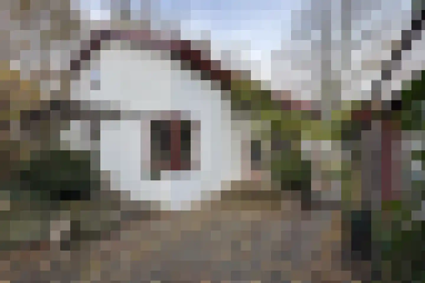 Pelgrimsdijk 2 a Zevenbergschen Hoek thumbnail 53