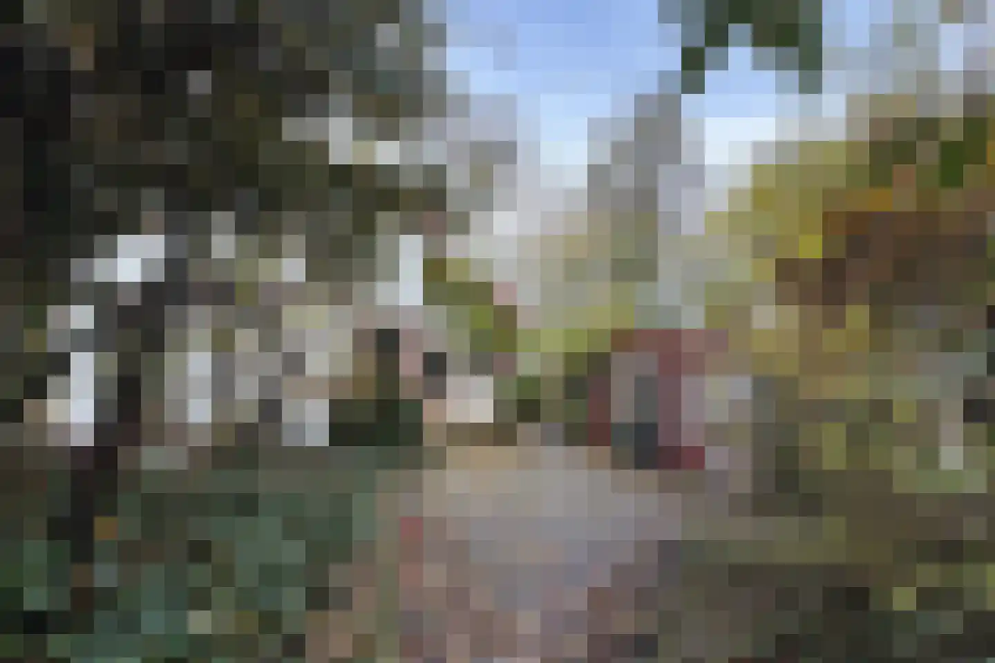 Pelgrimsdijk 2 a Zevenbergschen Hoek thumbnail 54