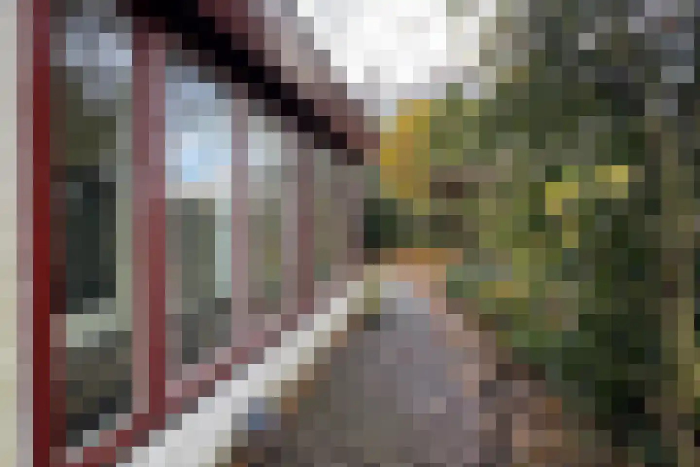 Pelgrimsdijk 2 a Zevenbergschen Hoek thumbnail 56