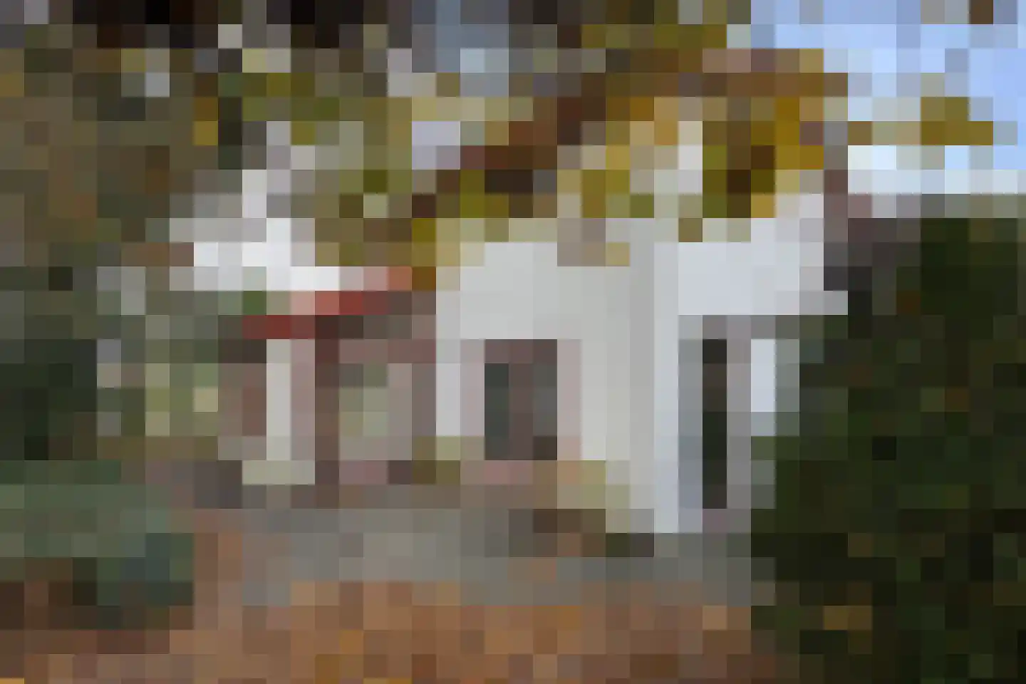 Pelgrimsdijk 2 a Zevenbergschen Hoek thumbnail 57