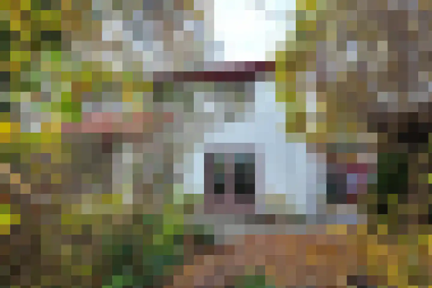 Pelgrimsdijk 2 a Zevenbergschen Hoek thumbnail 58