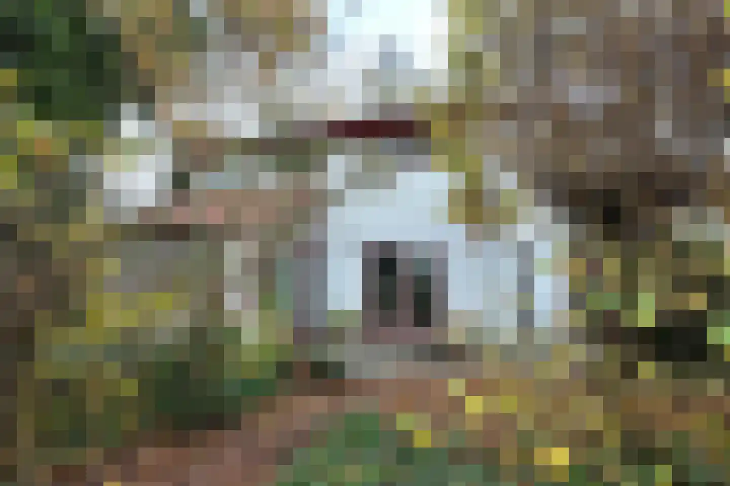 Pelgrimsdijk 2 a Zevenbergschen Hoek thumbnail 59