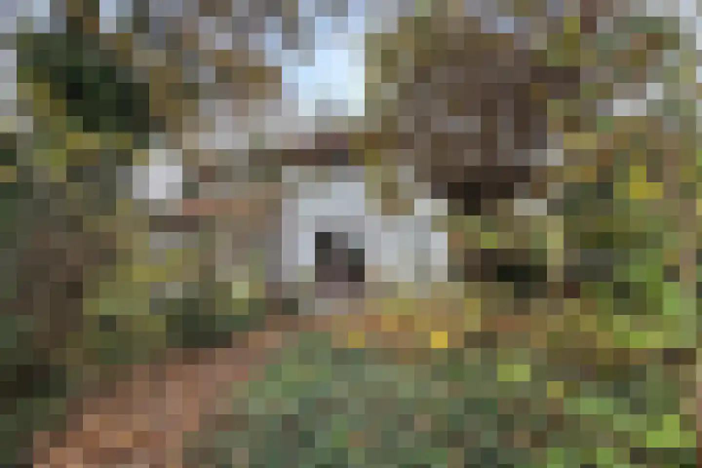 Pelgrimsdijk 2 a Zevenbergschen Hoek thumbnail 6