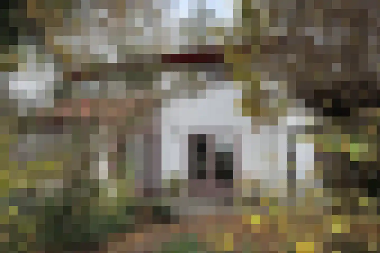 Pelgrimsdijk 2 a Zevenbergschen Hoek thumbnail 60