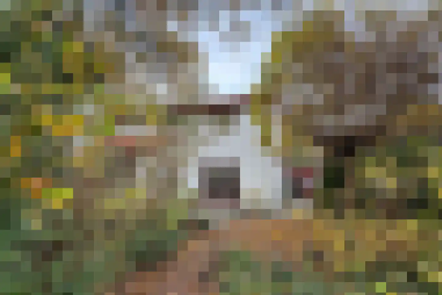 Pelgrimsdijk 2 a Zevenbergschen Hoek thumbnail 61
