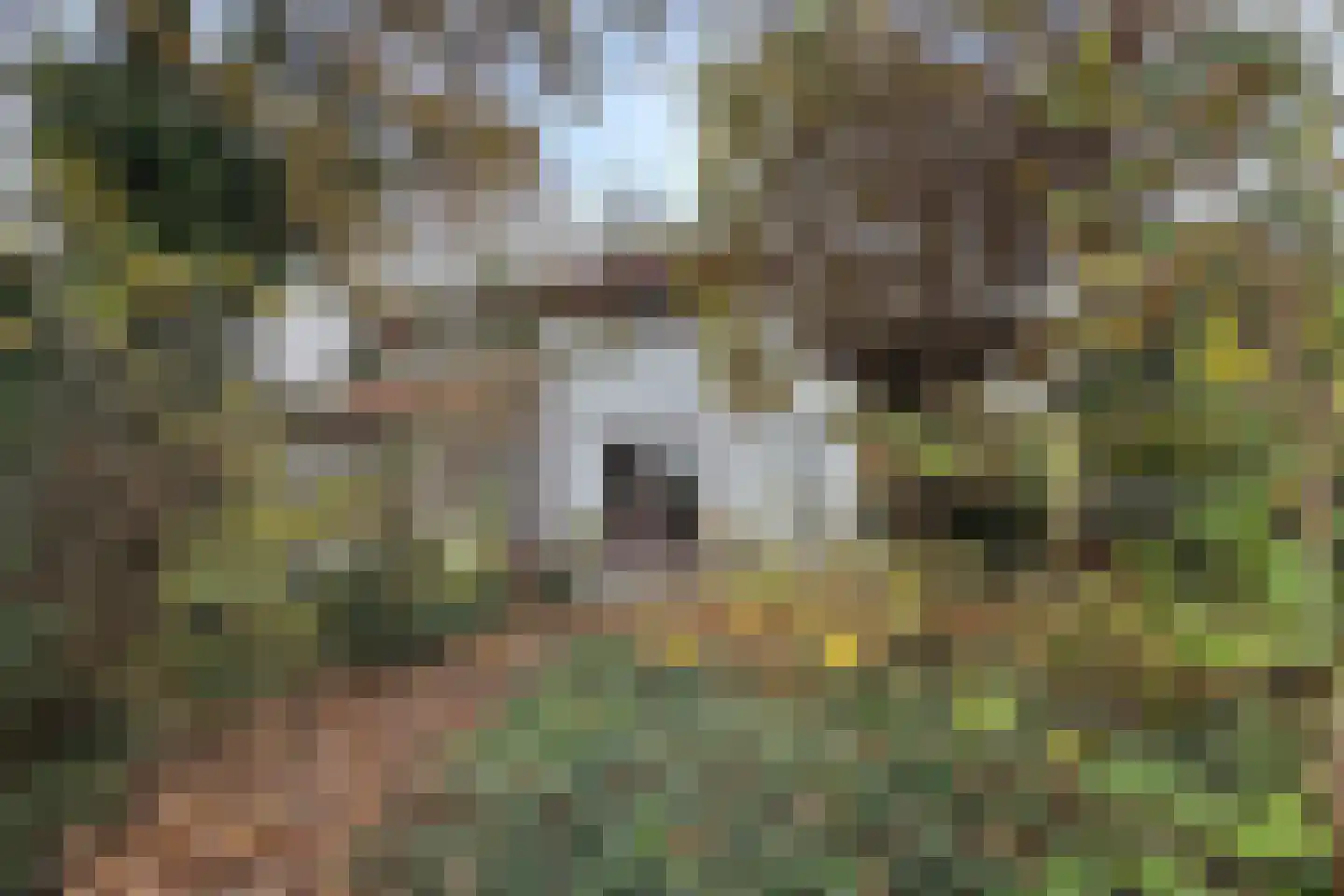 Pelgrimsdijk 2 a Zevenbergschen Hoek thumbnail 62