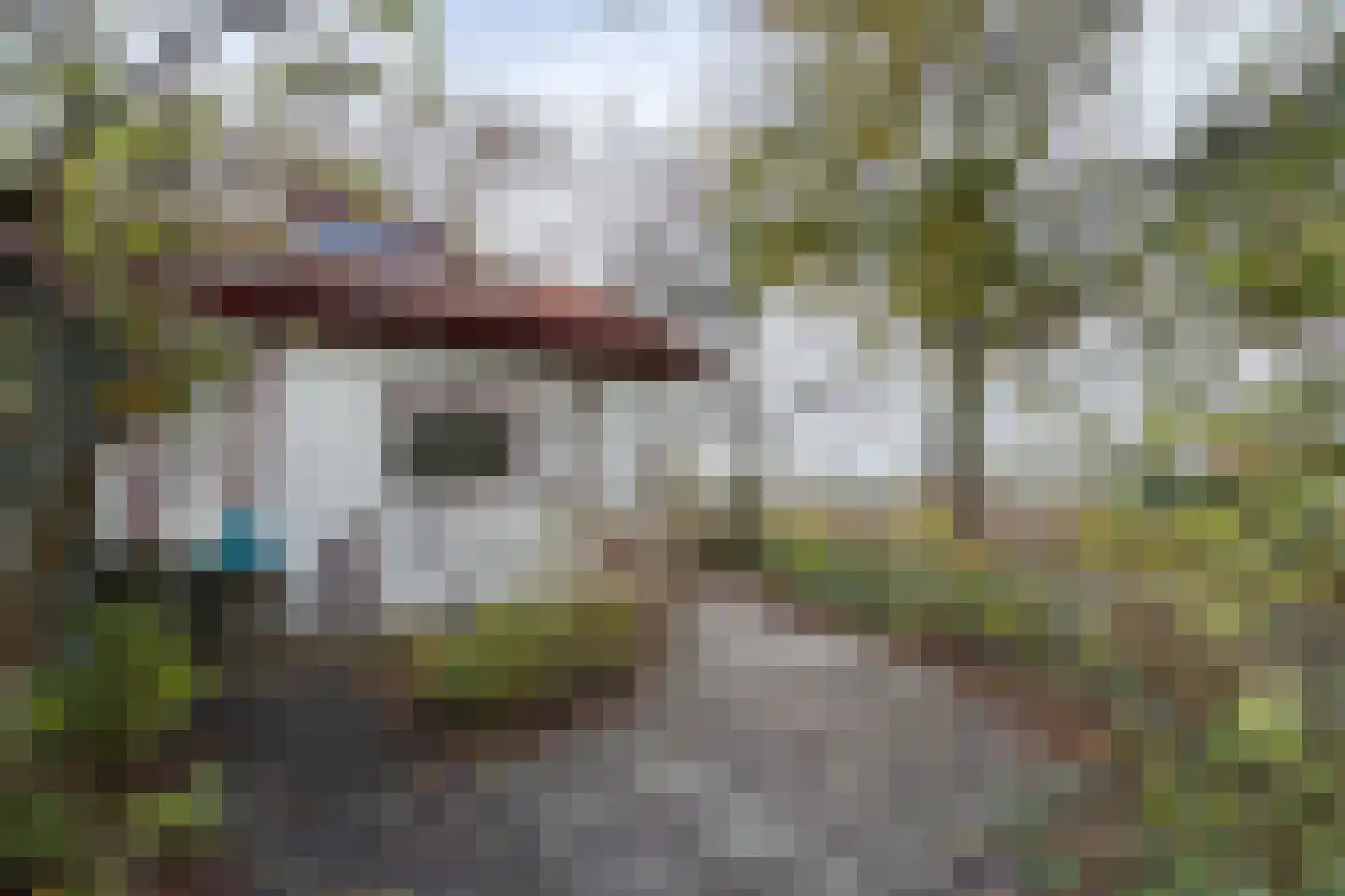 Pelgrimsdijk 2 a Zevenbergschen Hoek thumbnail 64