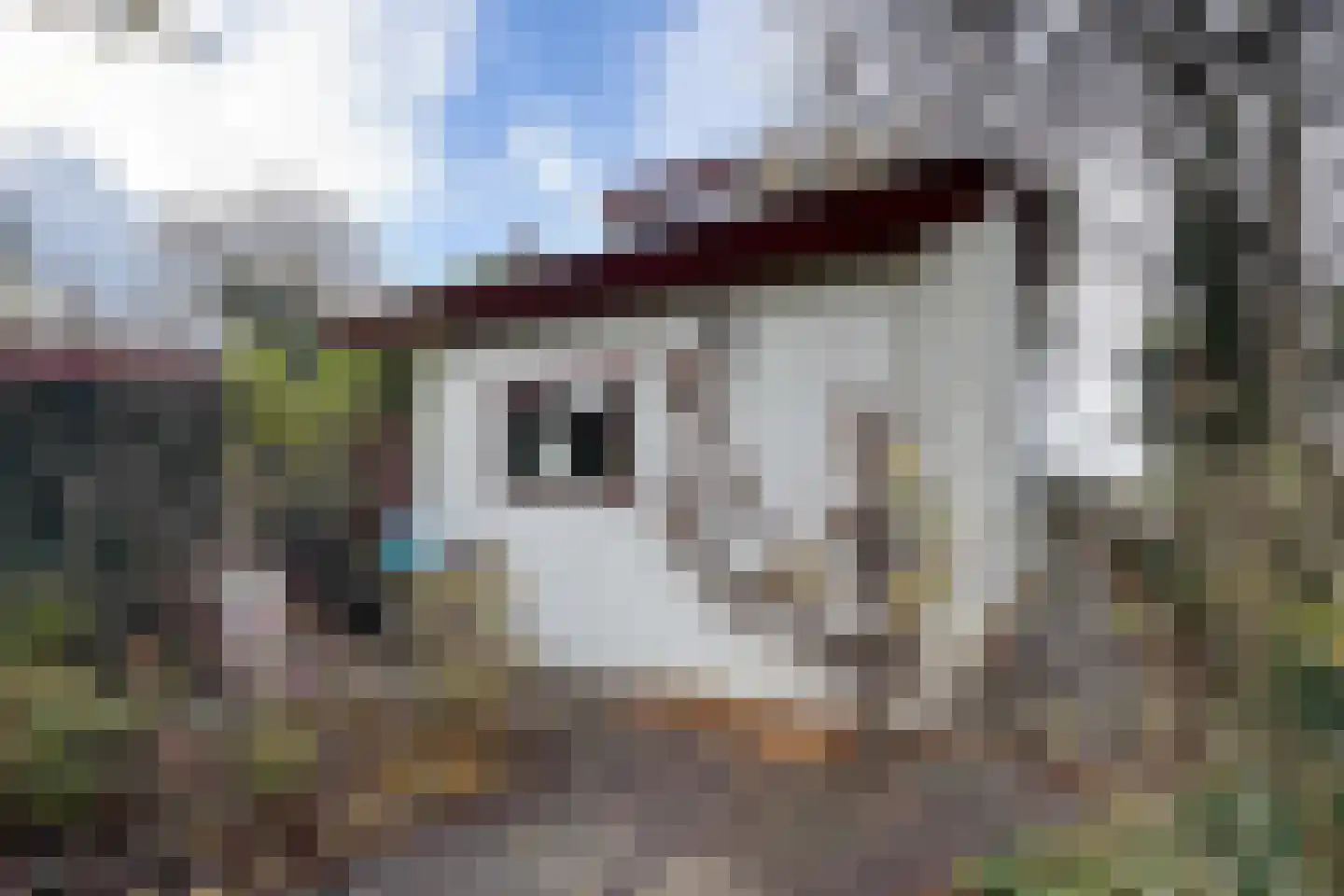 Pelgrimsdijk 2 a Zevenbergschen Hoek thumbnail 65