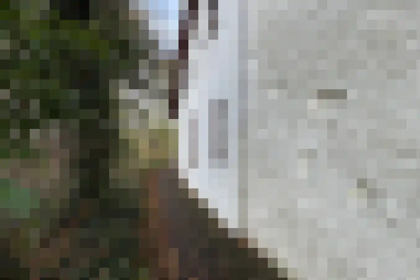 Pelgrimsdijk 2 a Zevenbergschen Hoek thumbnail 66