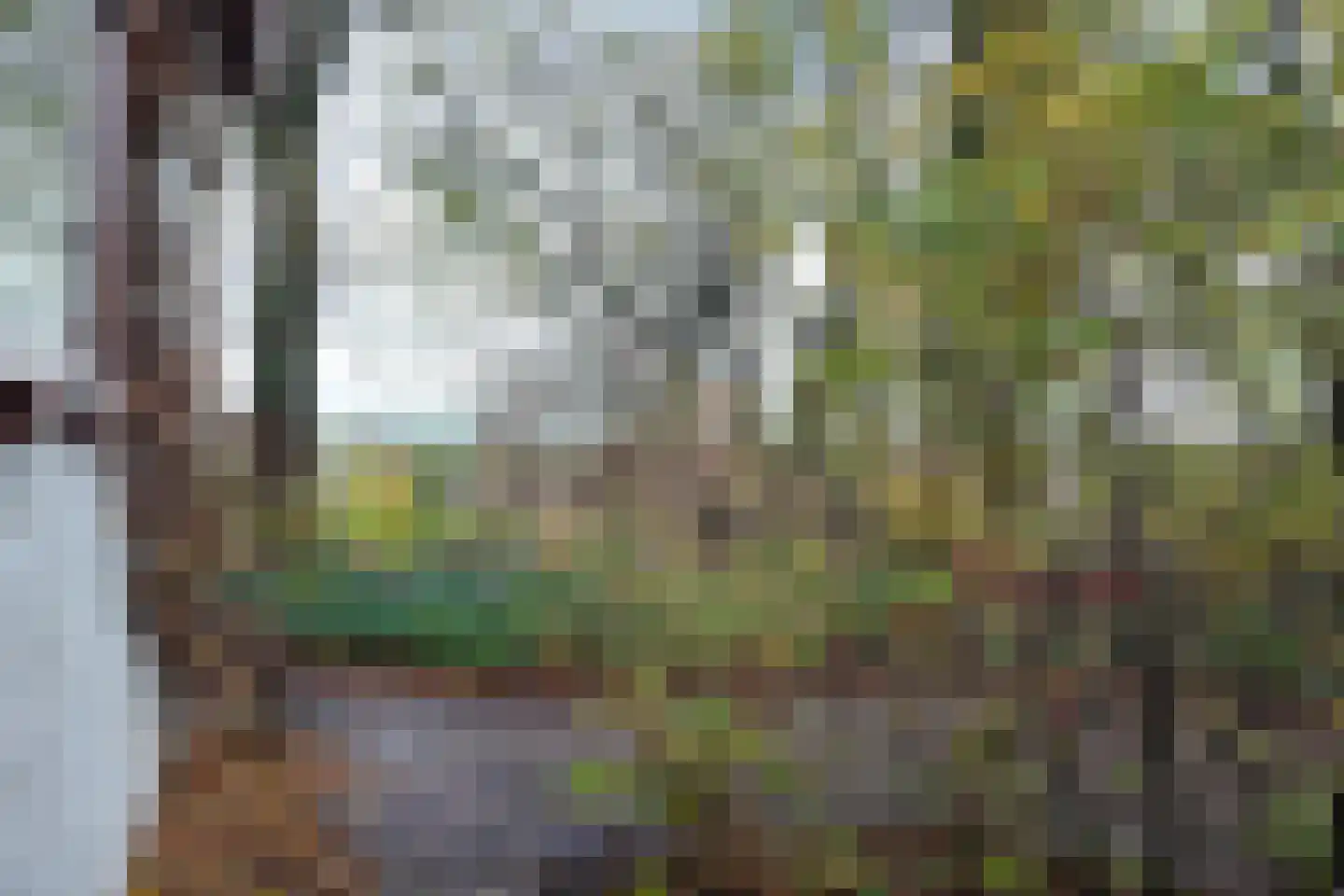 Pelgrimsdijk 2 a Zevenbergschen Hoek thumbnail 67