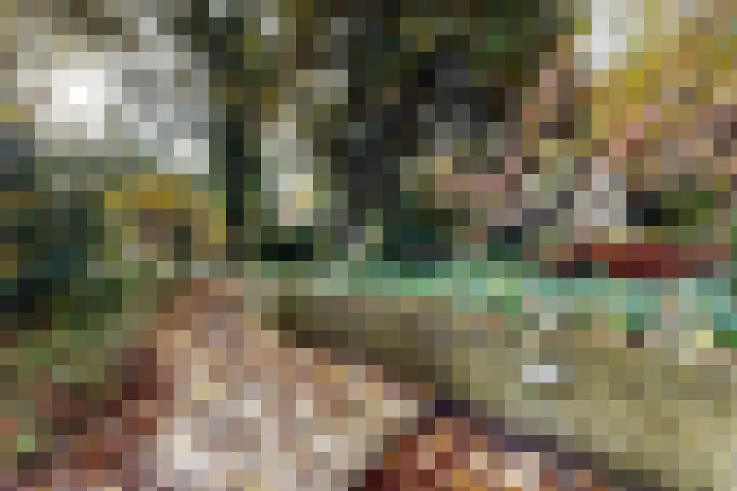 Pelgrimsdijk 2 a Zevenbergschen Hoek thumbnail 68