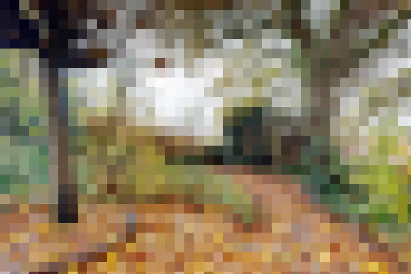 Pelgrimsdijk 2 a Zevenbergschen Hoek thumbnail 69