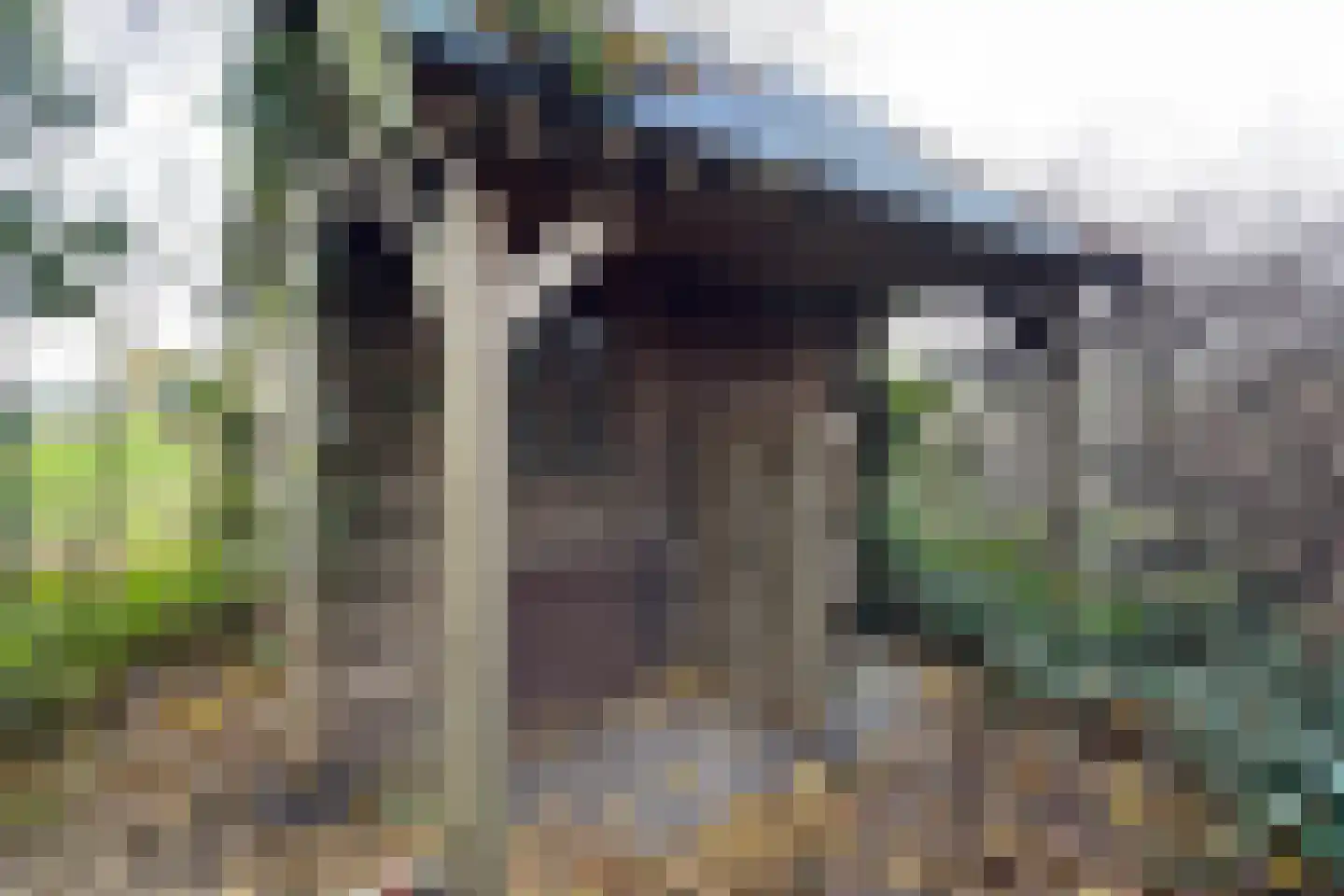 Pelgrimsdijk 2 a Zevenbergschen Hoek thumbnail 70